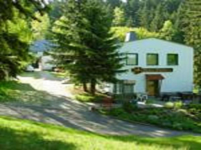 Отель Pension Waldidyll  Штютцербах